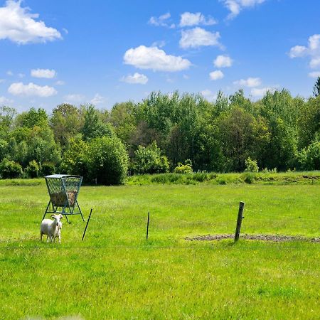 A Lovely Cottage On The Dwingelderveld Nature Park Beilen المظهر الخارجي الصورة