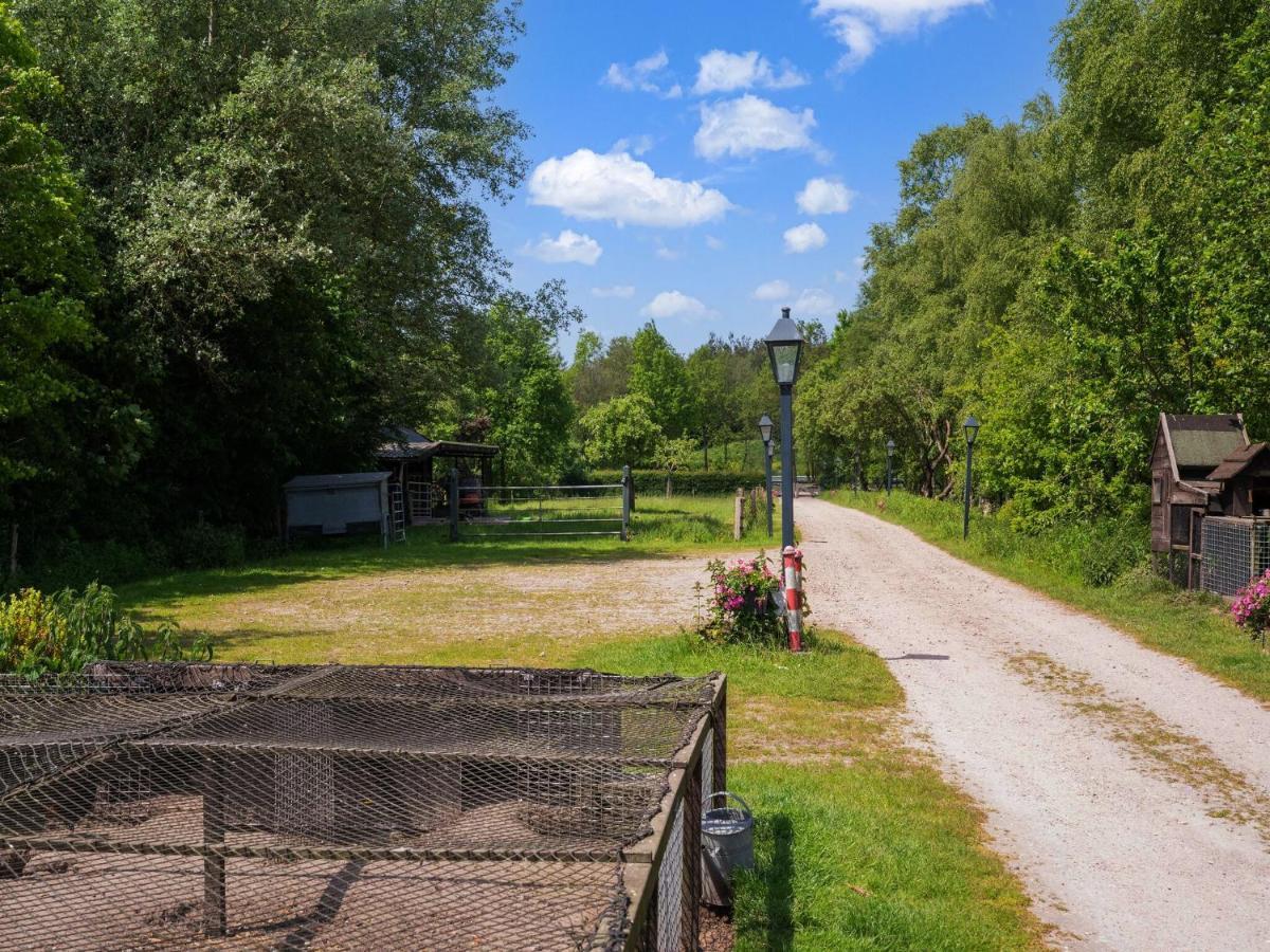 A Lovely Cottage On The Dwingelderveld Nature Park Beilen المظهر الخارجي الصورة