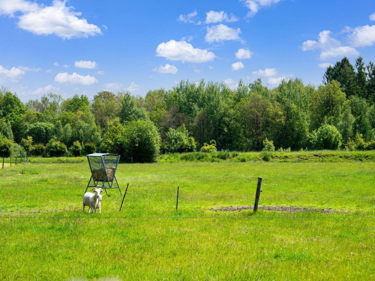 A Lovely Cottage On The Dwingelderveld Nature Park Beilen المظهر الخارجي الصورة