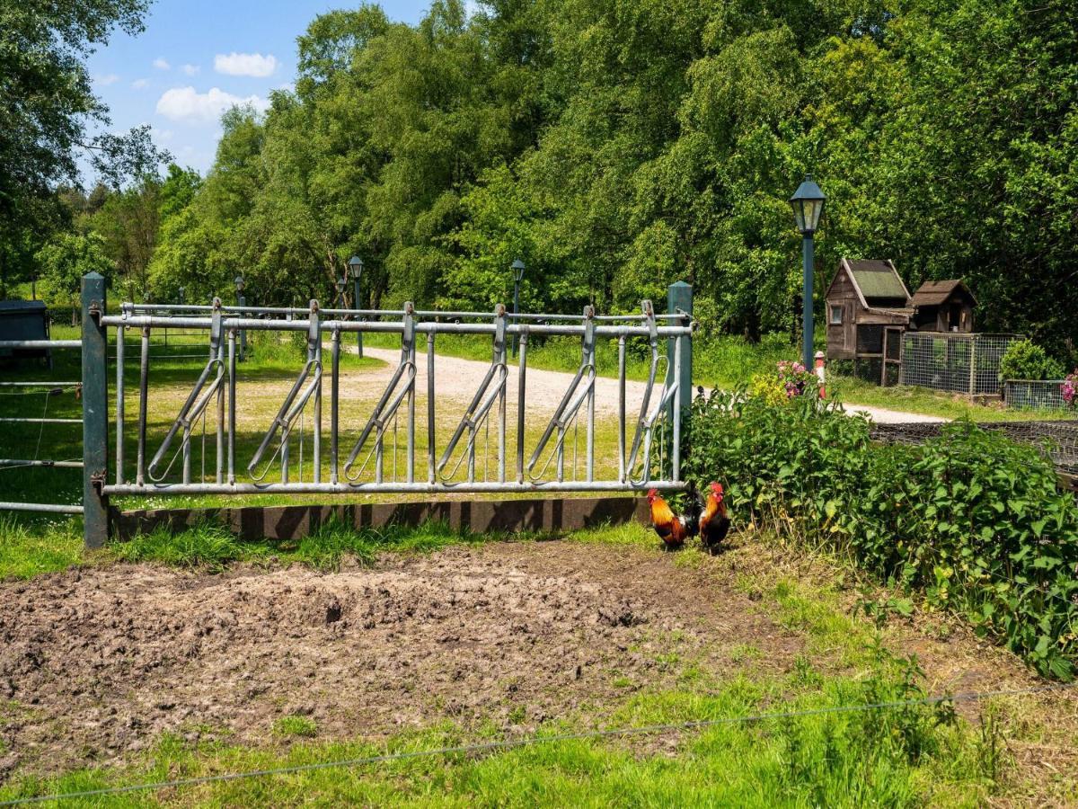 A Lovely Cottage On The Dwingelderveld Nature Park Beilen المظهر الخارجي الصورة