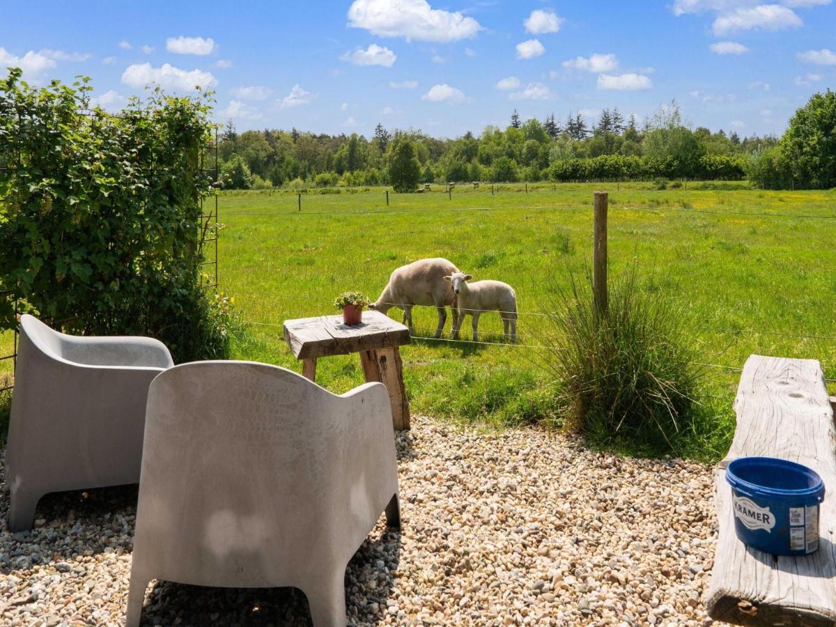 A Lovely Cottage On The Dwingelderveld Nature Park Beilen المظهر الخارجي الصورة